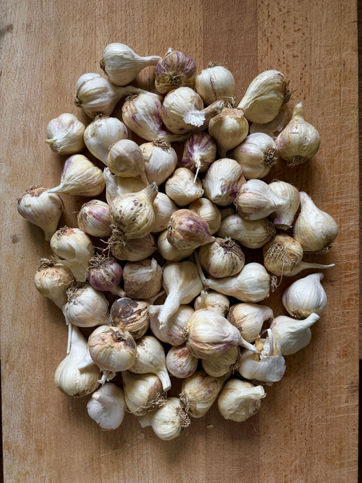 Danske økologiske små hvidløg, 750 gram