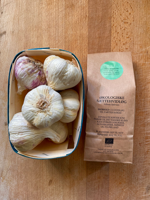 1 pose sættehvidløg og 500 gram danske spisehvidløg i spånkurv, økologisk