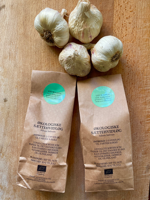 2 poser sættehvidløg og 250 g danske spisehvidløg, økologisk